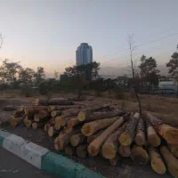 خرید انواع چوب