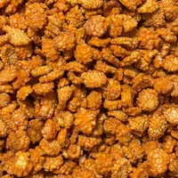 چیپس میگو فلفلی تند وخوشمزه خرده و عمده ارسال سریع|خوردنی و آشامیدنی|مشهد, خین عرب|دیوار