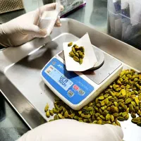 هِل|خوردنی و آشامیدنی|ششتمد, |دیوار