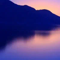 سرایدار مرد