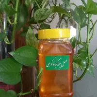 عسل طبیعی|خوردنی و آشامیدنی|مشهد, انقلاب|دیوار
