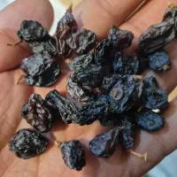 مویز پاک شده بوانات