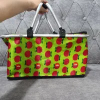 سبد پیک نیک یا سفر