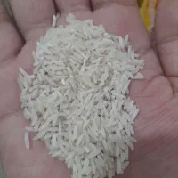 دمسیاه محلی طارم|خوردنی و آشامیدنی|گالیکش, |دیوار