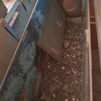 اکواریوم|ماهی|تهران, شهرک بوعلی|دیوار