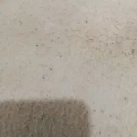 زمین مسکونی