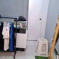 دکور ولباس|لباس|کوهدشت, |دیوار