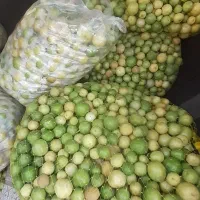 فروش لیموی اصل رودان به قیمت مناسب