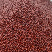 عناب.زرشک .خرما