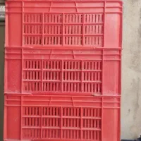 سبد برای کشتارگاه نو