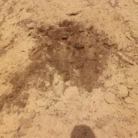 کودحیوانی|لوازم جانبی حیوانات|بردسکن, |دیوار