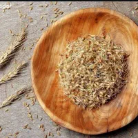 استخدام سرایدار زن و شوهر(ترجیحا جوان)