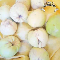 میوه به رسیده