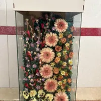 باکس گل خشک