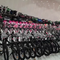 دوچرخه ویوا ،، 20|دوچرخه، اسکیت، اسکوتر|اردبیل, |دیوار