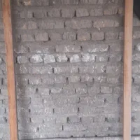 در طوری اغل کفتر یا مرغ