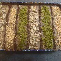 رنگینک جهرم مخصوص پر مغز مقوی تازه|خوردنی و آشامیدنی|شیراز, خلدبرین|دیوار