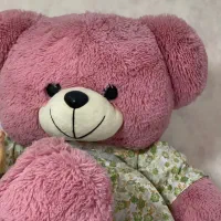 عروسک های اورجینال و نو|اسباب‌بازی بچه|کرج, کمال‌شهر|دیوار