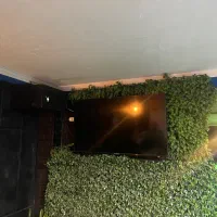 لوازم باشگاه|ورزش‌های توپی|رشت, بلوار گیلان|دیوار