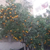 خانه ویلایی