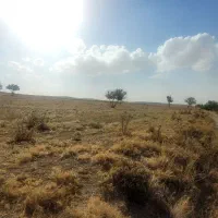 زمین دیمی در کنار جاده کندوان|فروش زمین و ملک کلنگی|اسکو, |دیوار