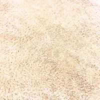 فرش فولیکات پرز بلند ترک|فرش|مشهد, امیر|دیوار