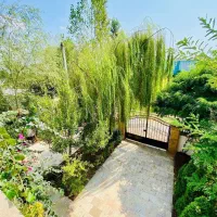 باغچه ویلا دنج و سرسبز/250زمین/اسناد مدارک کامل|فروش خانه و ویلا|چمستان, |دیوار