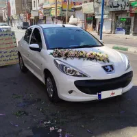 اجاره خودروهمراه راننده