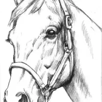 آموزش خصوصی نقاشی و خلاقیت(حضوری و غیر حضوری)|خدمات آموزشی|تهران, طرشت|دیوار