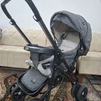 کالسکه دلیجان|کالسکه و لوازم جانبی|قم, انسجام|دیوار