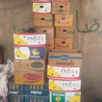 کارتون موزی