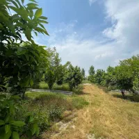 اگ-قصدخریدی-باغ-پربارداریدب-سادگی-ازین-اگهی-نگذرید