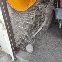 دو عدد قفس پرونده بزرگ