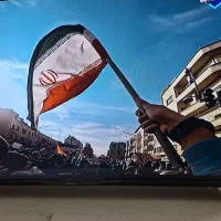 ال ی دی ۴۳ اینچ نکسار