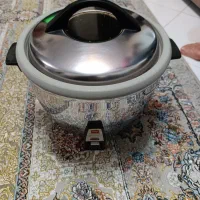 پلوپز برقی