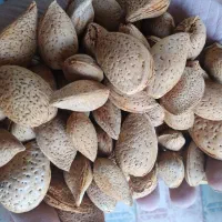 بادام سنگی|خوردنی و آشامیدنی|سبزوار, پیروزی|دیوار