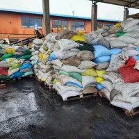 پخش کشمش|خوردنی و آشامیدنی|تبریز, |دیوار