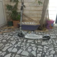 اسکوتر