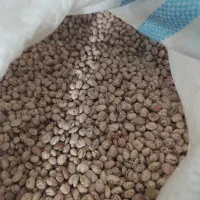 خریدوفروش|فعالیت داوطلبانه|اقلید, |دیوار