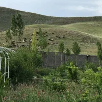 باشگاه سوارکاری و باغ|فروش دفتر صنعتی، کشاورزی، تجاری|خواجه, |دیوار