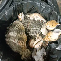 اکواریم|ماهی|نیشابور, ریوند|دیوار