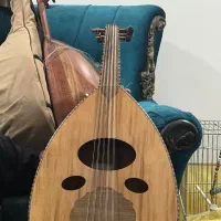 عود|سازهای سنتی|بندرعباس, |دیوار