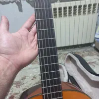 گیتارپالادوcg80|گیتار، بیس، امپلیفایر|پردیس, فاز ۴|دیوار