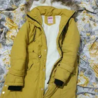 کت نو نو هستش