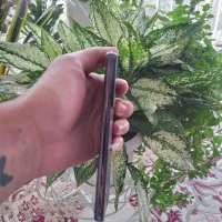 Samsung s22 normal|موبایل|همدان, |دیوار
