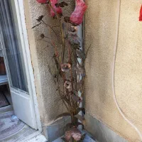 آباژور ایستاده