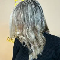 خدمات تخصصی رنگ و لایت
