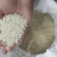 برنج عنبربو خوزستان|خوردنی و آشامیدنی|آران و بیدگل, |دیوار