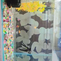 اکواریوم شرکتی