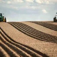 زمین کشاورزی دم